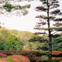Tokyo, Japan - Imperial Palace Gardens
